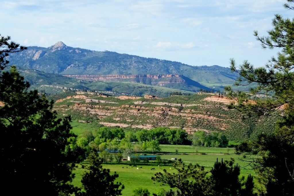 The programs featured image